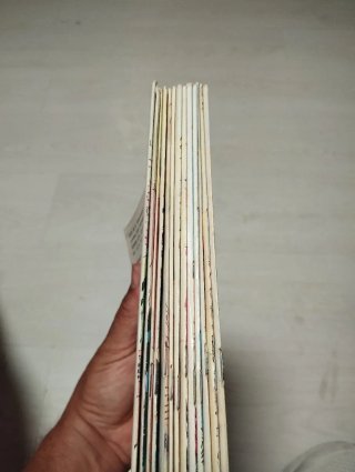 Libros El Guerrero del Antifaz