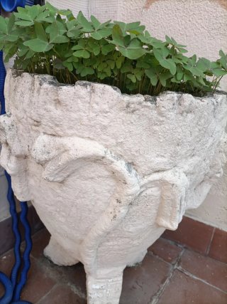 Macetero de piedra con diseño