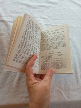 Los Ultimos Romanticos (Coleccion Austral, 445)