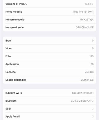 Ipad Pro 13 2025 M4 256 GB