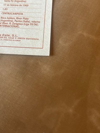 Cromo Berti Ediciones Este 95-96 Nuevo sin pegar