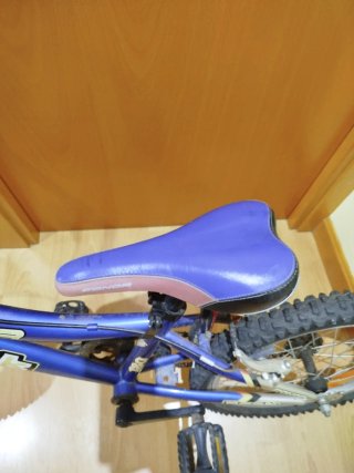 Bicicleta Infantil CONOR 16