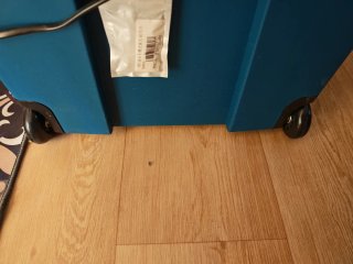 Nevera portátil Mobicool 48L 220V/12V