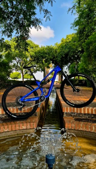 29" Bicicleta de montaña doble suspensión carbono