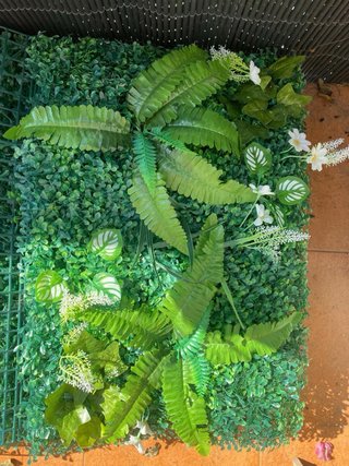 Jardín Vertical Decorativo