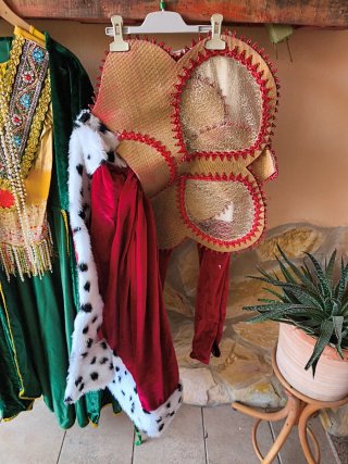 Traje Reina Carnaval Verde y Rojo
