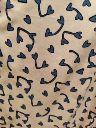 Camisa y blusa Compañía Fantástica