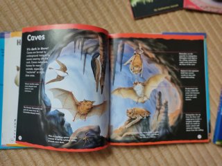 Pack 5 libros en inglés