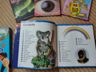 Pack 5 libros en inglés