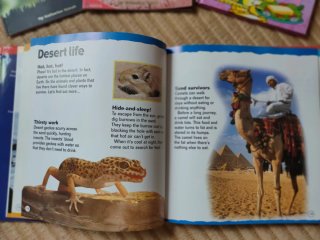Pack 5 libros en inglés