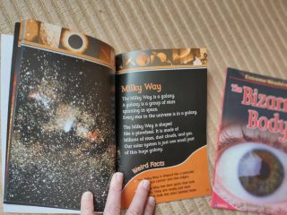 Pack 5 libros en inglés