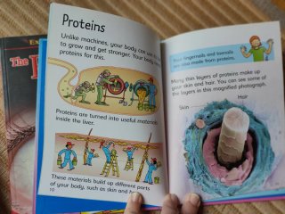 Pack 5 libros en inglés