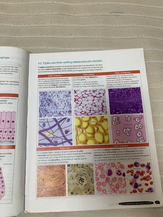 Biología y Geología 3º ESO.