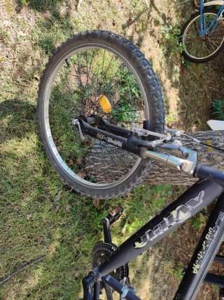 Bicicleta Montaña Avigo Stone Jóvenes