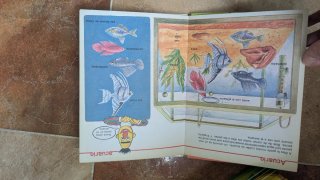 Enciclopedia Abrete Sésamo El libro de la A