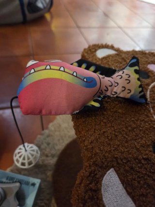 Set tiragraffi a forma di orso e spazzola