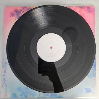 Vinilos Kanye West - Kids See Ghosts y Ye