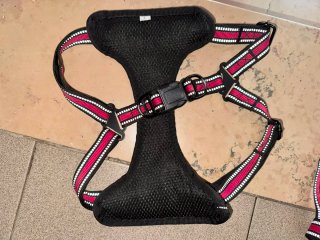 Pettorina Optimo Multicolore Rosa
