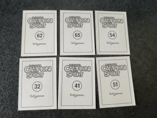 Lotto 6 Figurine campioni dello sport edigamma 97