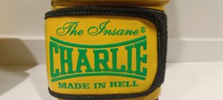 Guantes Boxeo Charlie Bat-X 14 oz Piel
