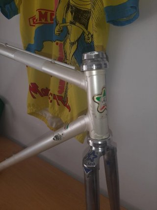 Cuadro Olmo Columbus T.53