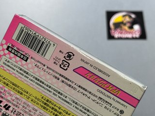 Viewtiful Joe Nintendo GameCube NTSC-J Reg.card