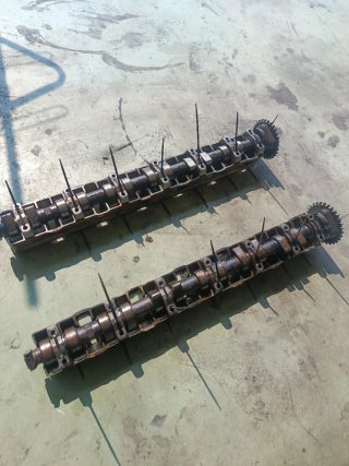 Árboles de levas BMW M50B25 325i