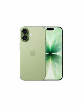 iPhone 17 Sage 512GB