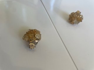Orecchini Clips Dorati