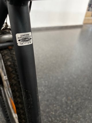 Bicicleta Vintage Gris con Portaequipajes
