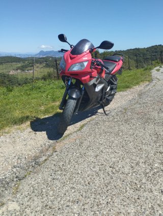 Kimco quannon 125