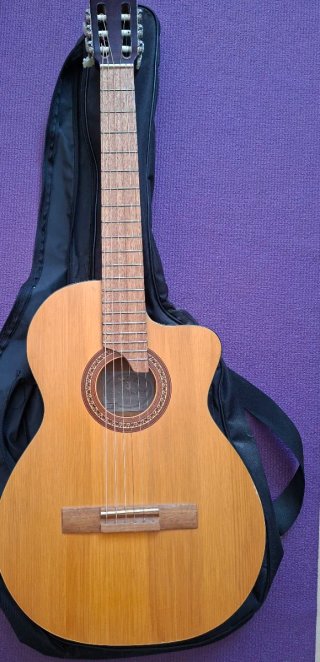 Guitarra Clásica Acústica
