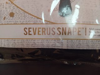 Disfraz Severus Snape Harry Potter Talla Única