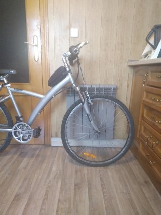 Bicicleta de adulto plateada