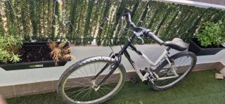 Bicicleta boomerang Crossway 26''