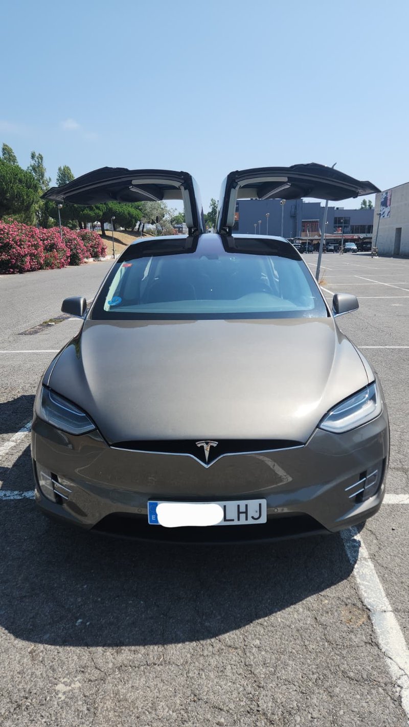 Tesla Model X 90D 2016 - foto 1
