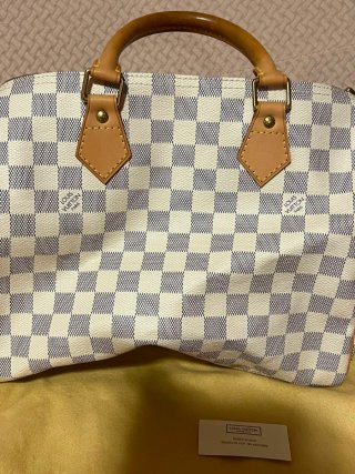 Louis Vuitton Speedy 30 Bauletto