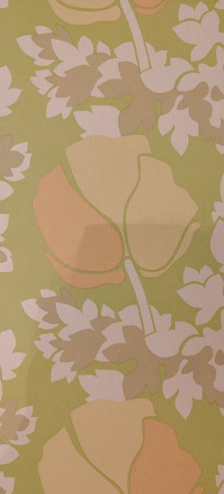 Carta da parati Vintage Originale