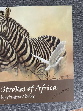 Libro Brush Strokes of Africa