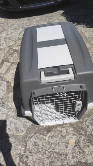 Transportín Gulliver IATA para mascotas