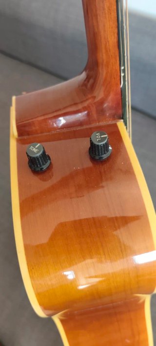 Guitarra Acústica Sae Han