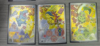 Trío de cartas Pokémon Johto