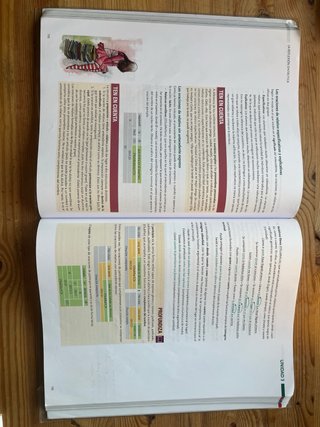 Lengua Castellana y Literatura, 2 Bach, Proyect...