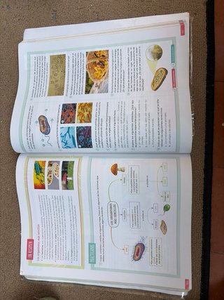 Biología y Geología. 1 Secundaria. Revuela. Com...