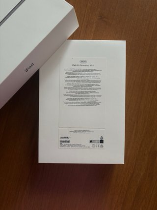 iPad 9ª Generazione Argento