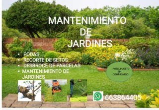 Jardinero en cordoba