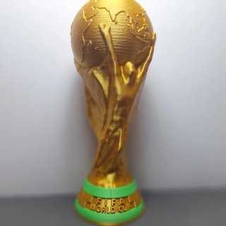 Copa del Mundo 2016  3D de 25 cm personalizables