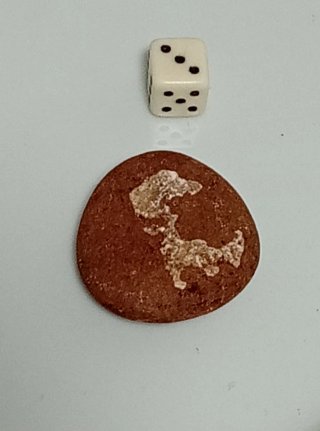 Piedra Colección Sierra Morena Silueta Dragón 20g