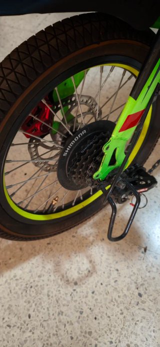 Bicicleta Plegable Verde