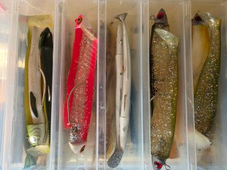 Caja de Vinilos para Pesca Spinning